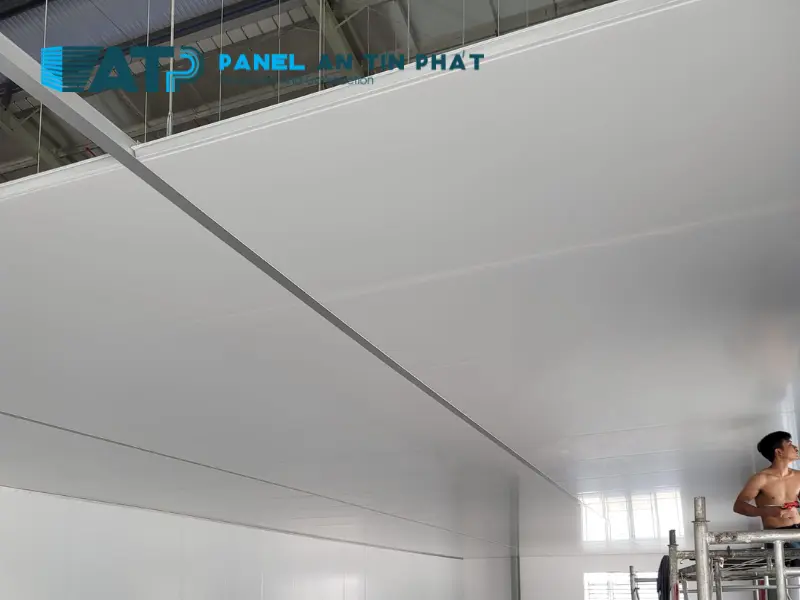 dịch vụ thi công trần panel
